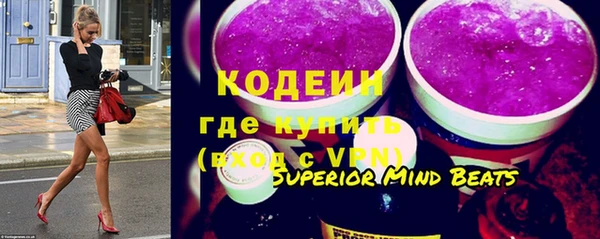 прущий лед Бикин