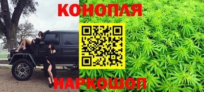 спиды Камышлов
