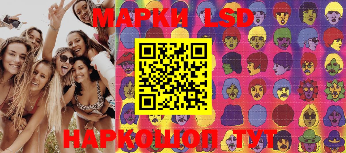 APVP Камышлов